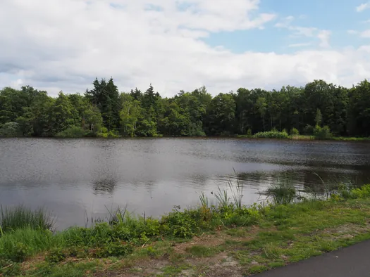 Fietsen en wandelen door het water van de Wijers, Bokrijk (België)